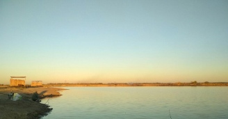 Фото Без труда не выловишь и рыбку из пруда №39