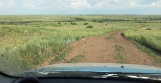 Фото Лужи и грязь — нам не помеха! №8